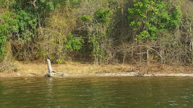 Ankarafantsika NP 2