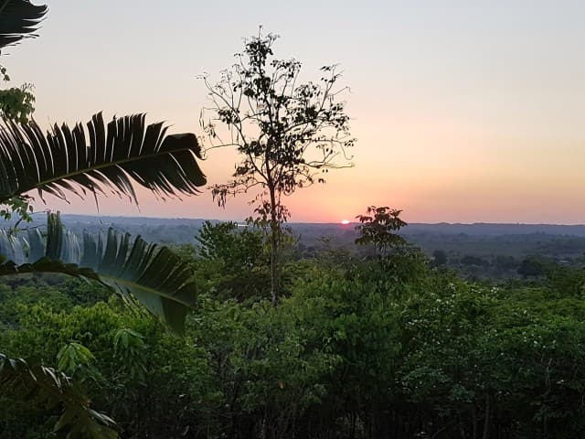 Schitterende jungle sundowners over Grand Tsingy de Bemaraha NP.