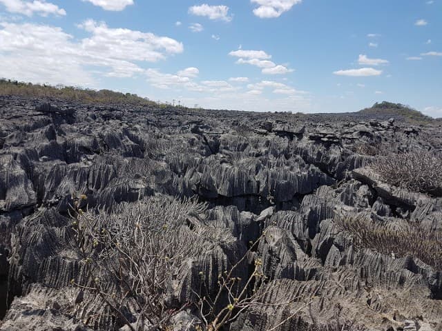 Tsingy fields in Ankarana NP.